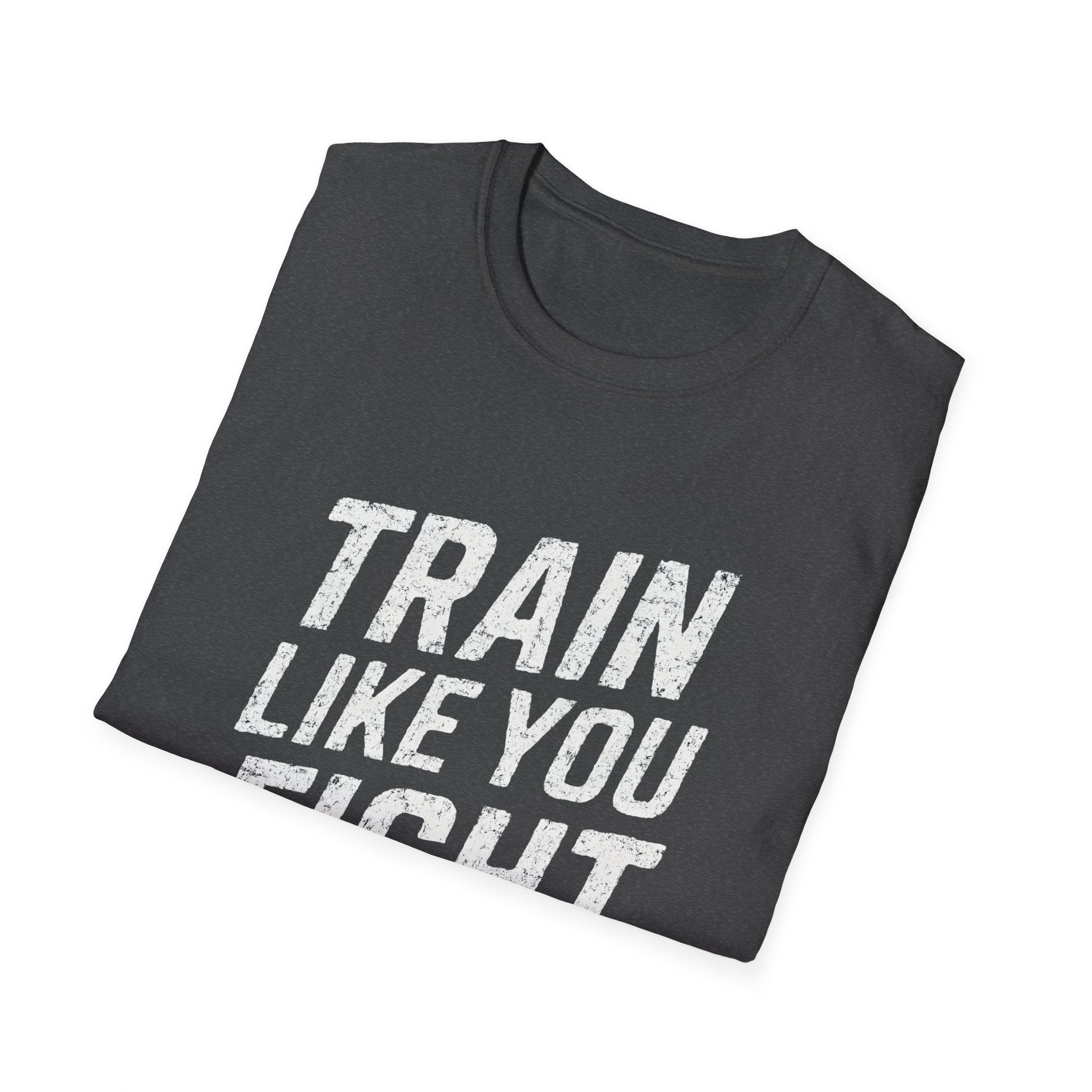 Train Like You Fight T-Shirt