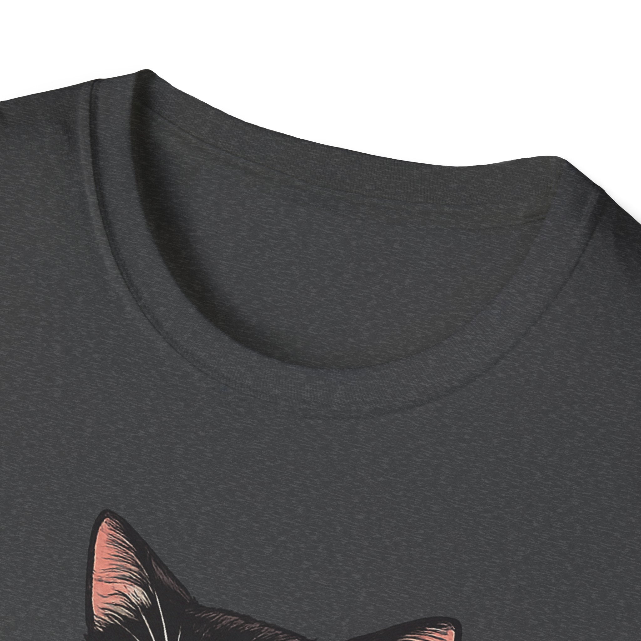 Cat Eating Ramen T-Shirt