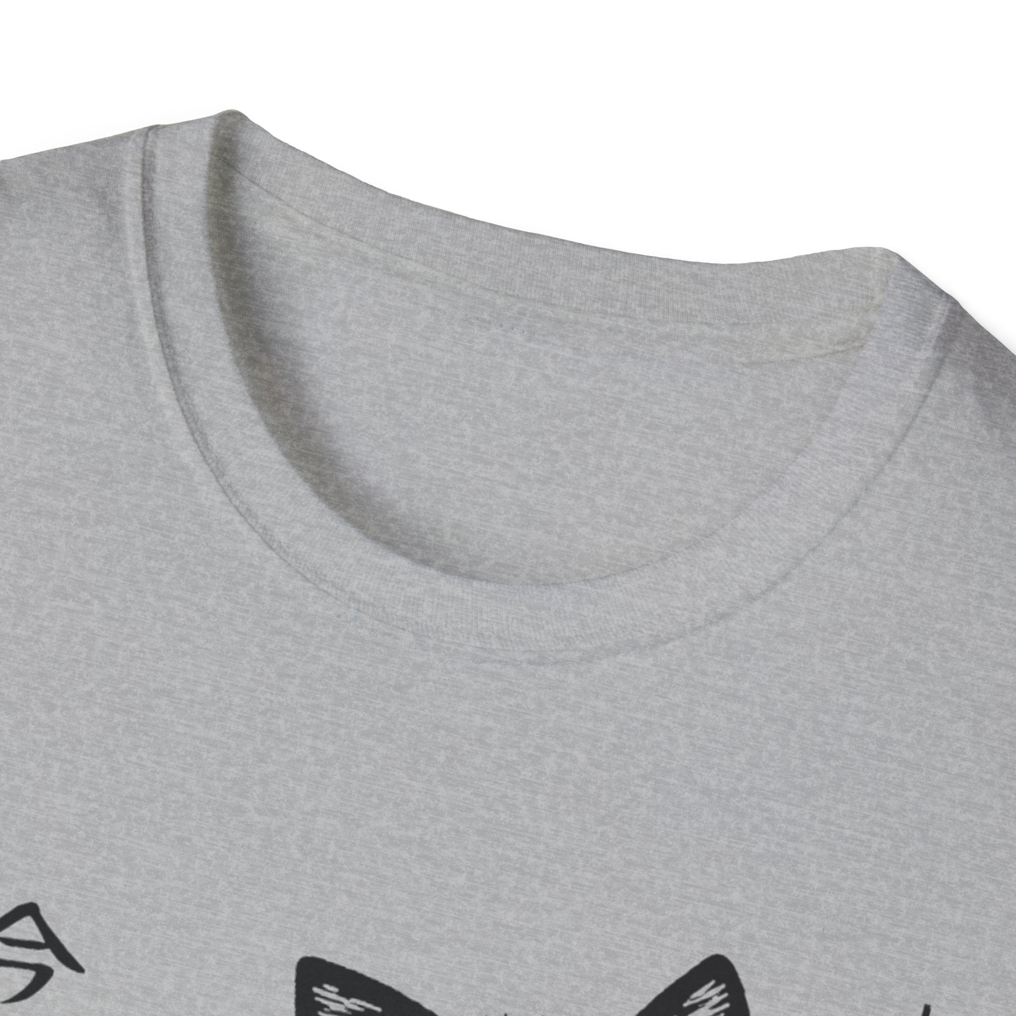 The Cat is Watching Today T-Shirt