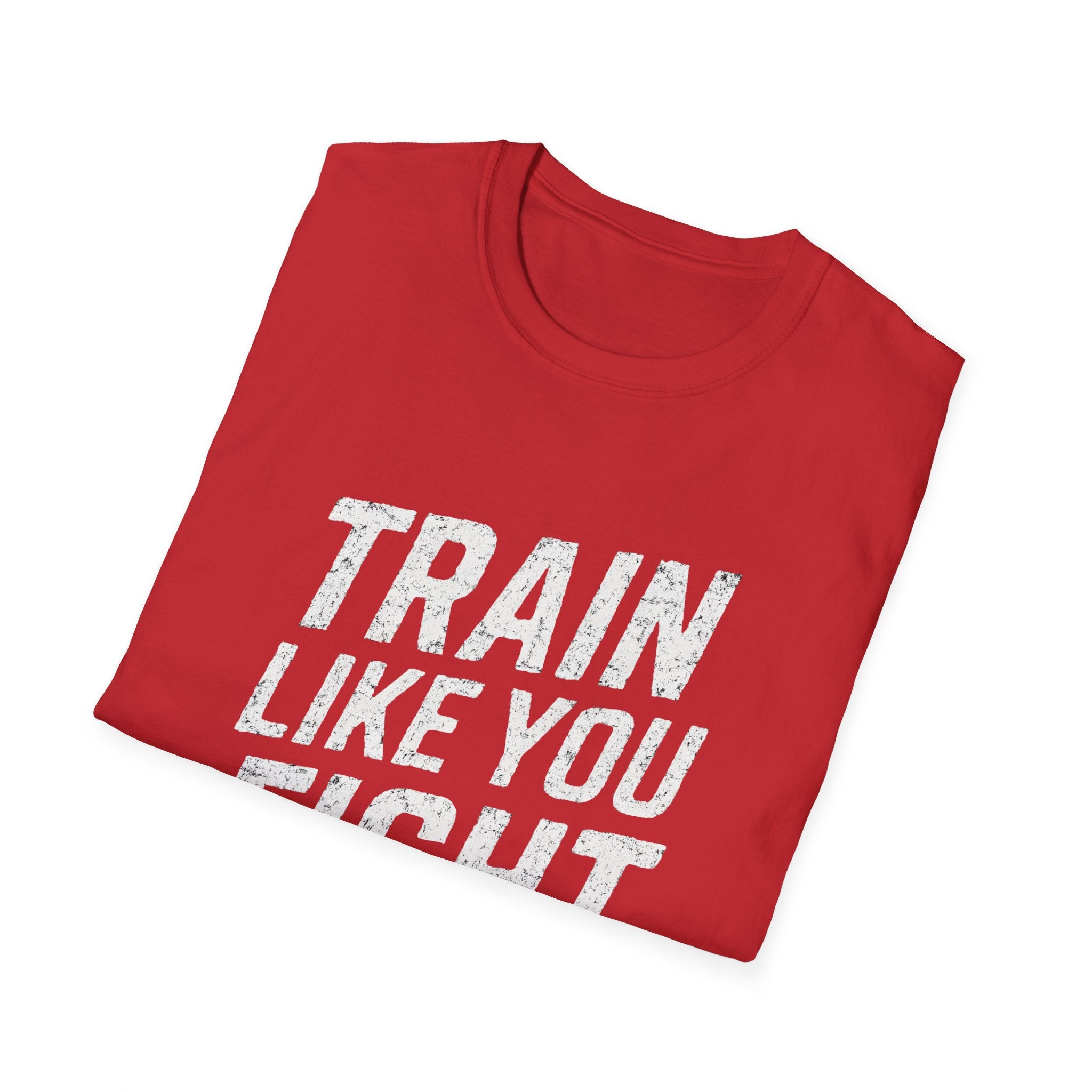 Train Like You Fight T-Shirt